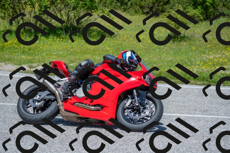 202506021212-DSC_8655_c4_