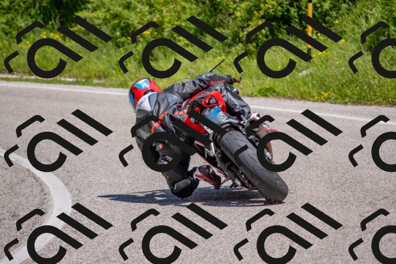 202506021212-DSC_8657_c4_