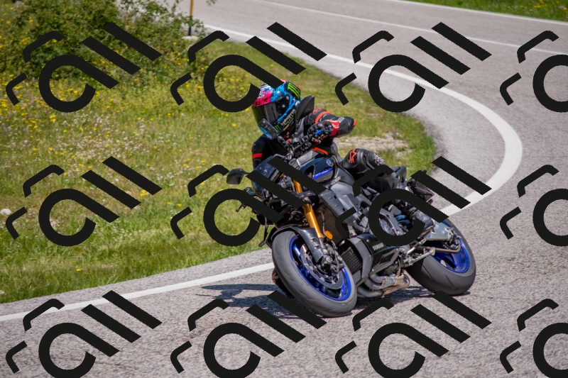 202506021212-DSC_8658_c4_