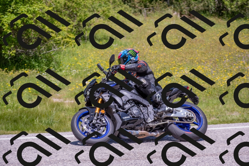 202506021212-DSC_8659_c4_