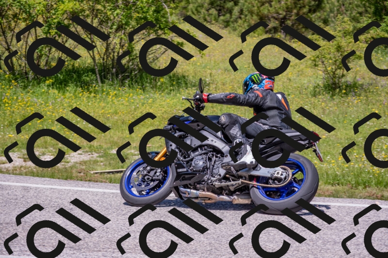 202506021212-DSC_8660_c4_