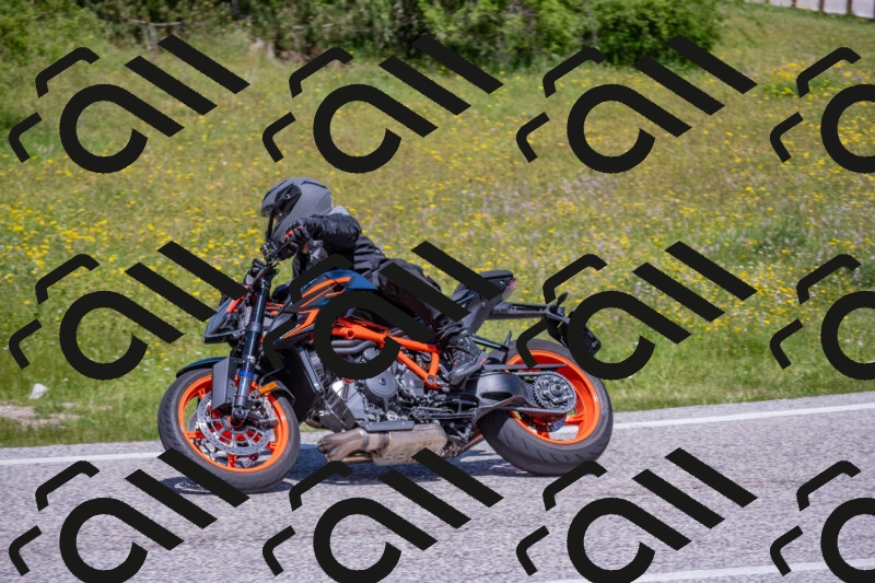 202506021212-DSC_8666_c4_