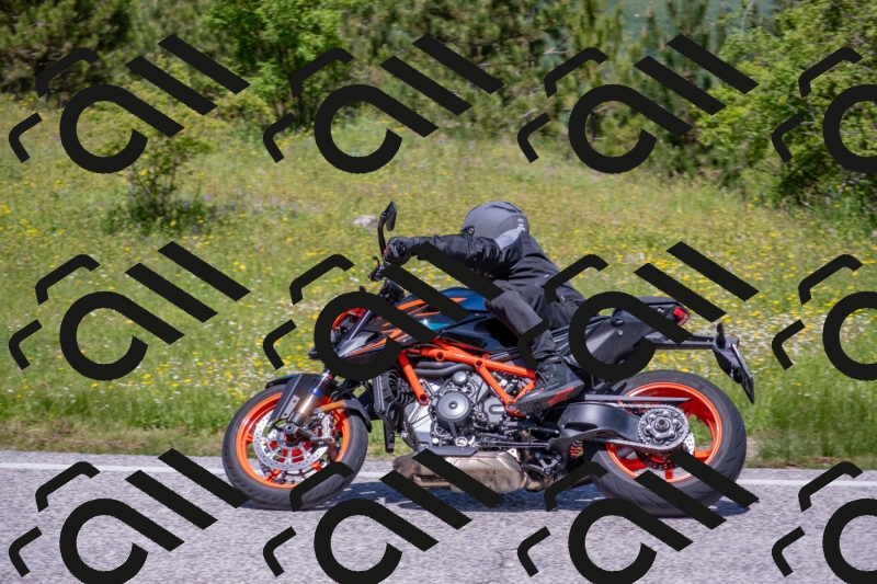 202506021212-DSC_8667_c4_