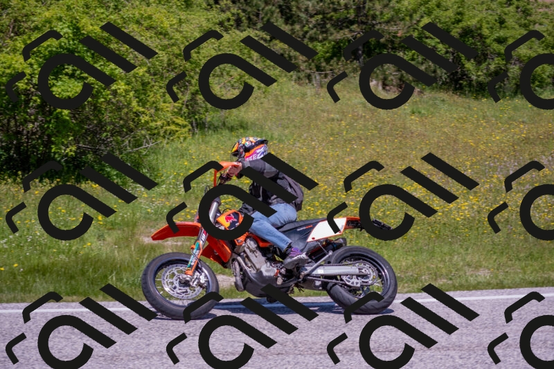 202506021212-DSC_8669_c4_