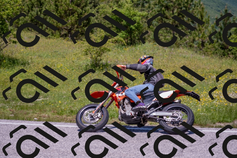 202506021212-DSC_8670_c4_