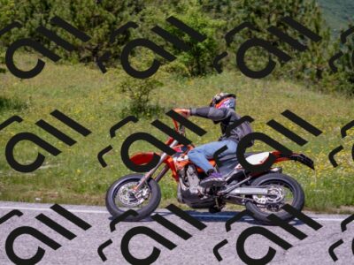 202506021212-DSC_8670_c4_