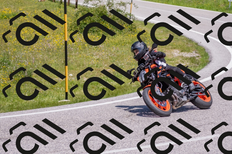 202506021212-DSC_8672_c4_