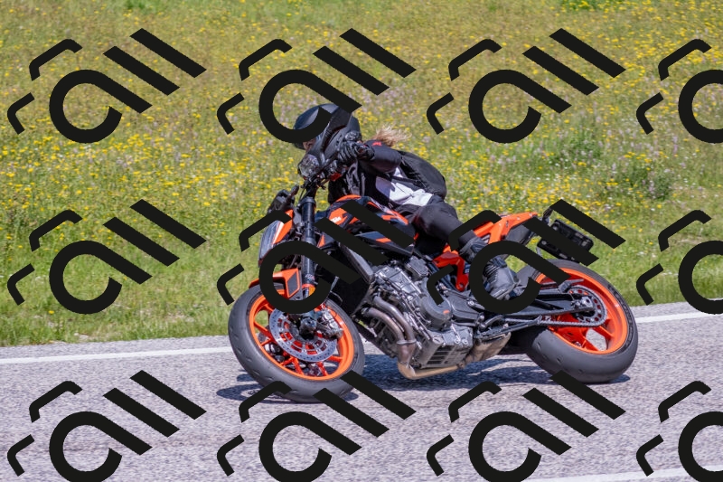 202506021212-DSC_8673_c4_