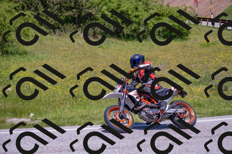 202506021212-DSC_8674_c4_