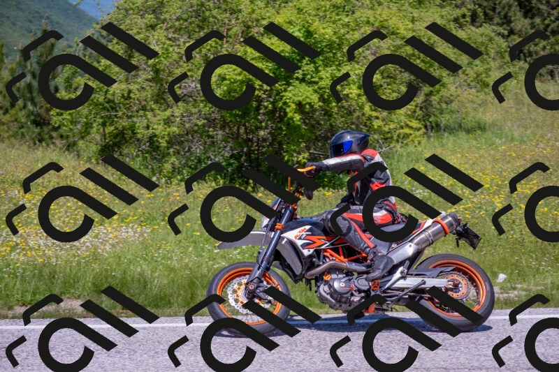 202506021212-DSC_8675_c4_