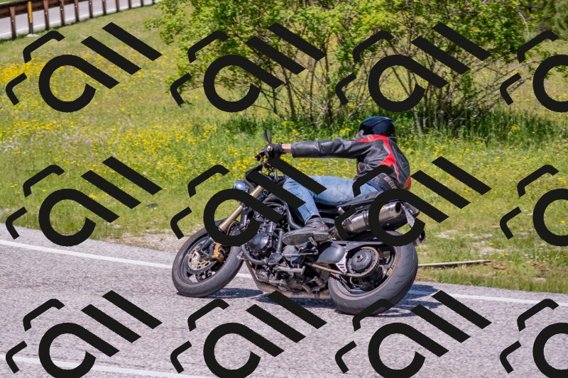 202506021212-DSC_8678_c4_