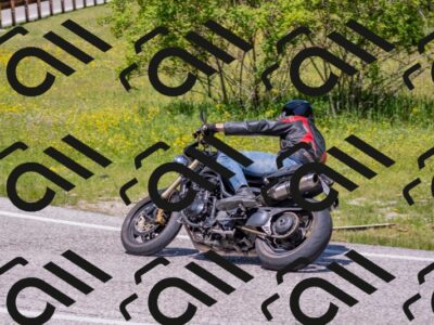 202506021212-DSC_8678_c4_