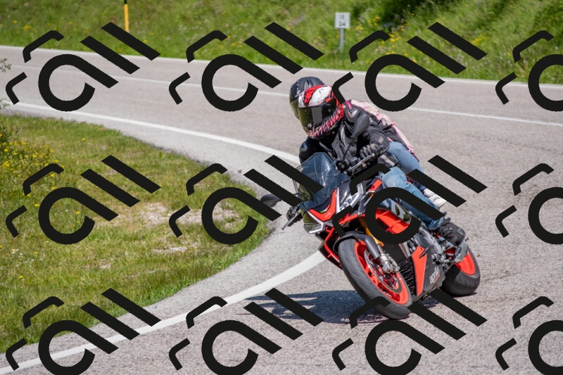 202506021213-DSC_8679_c4_