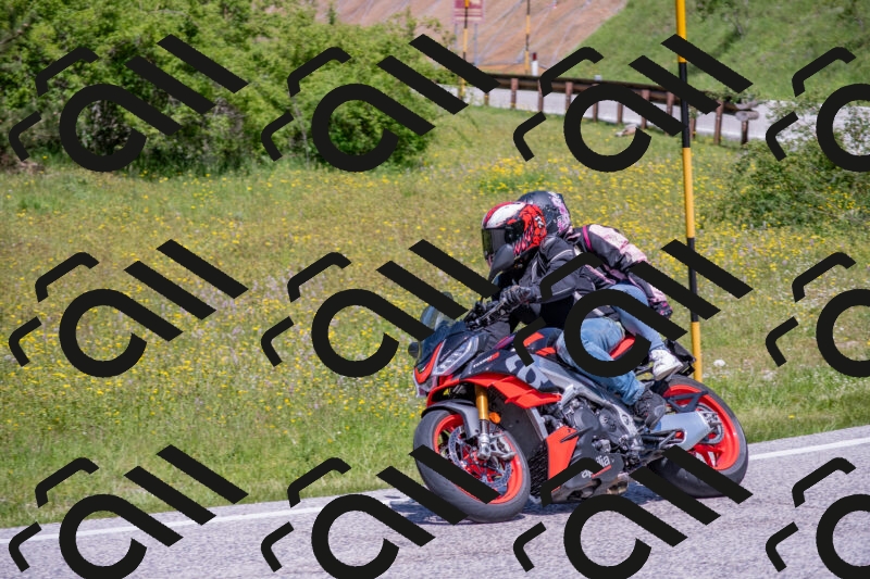 202506021213-DSC_8680_c4_