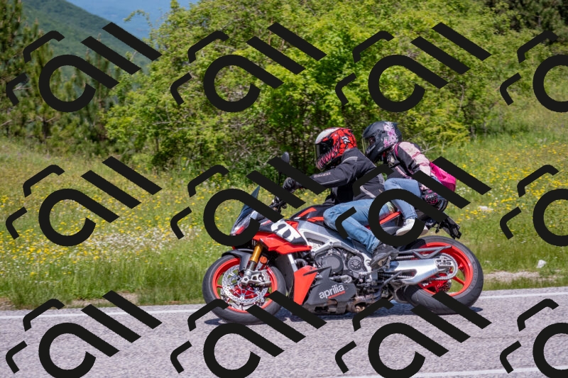 202506021213-DSC_8681_c4_