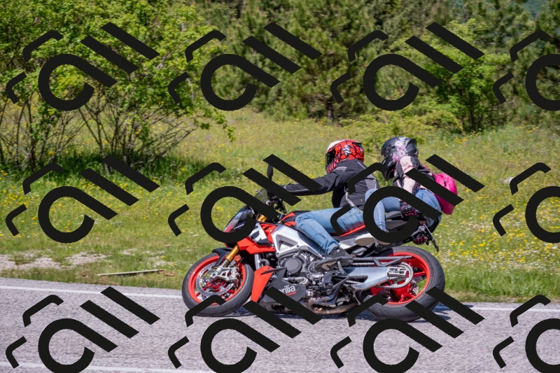 202506021213-DSC_8682_c4_