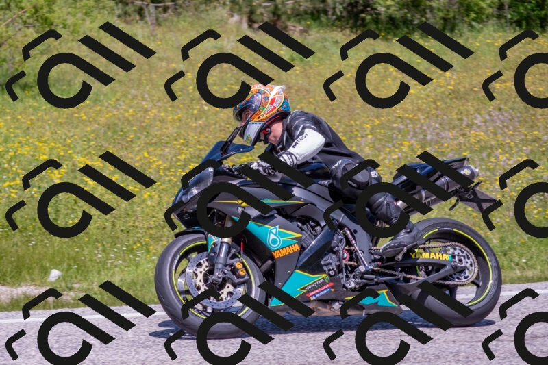 202506021213-DSC_8686_c4_