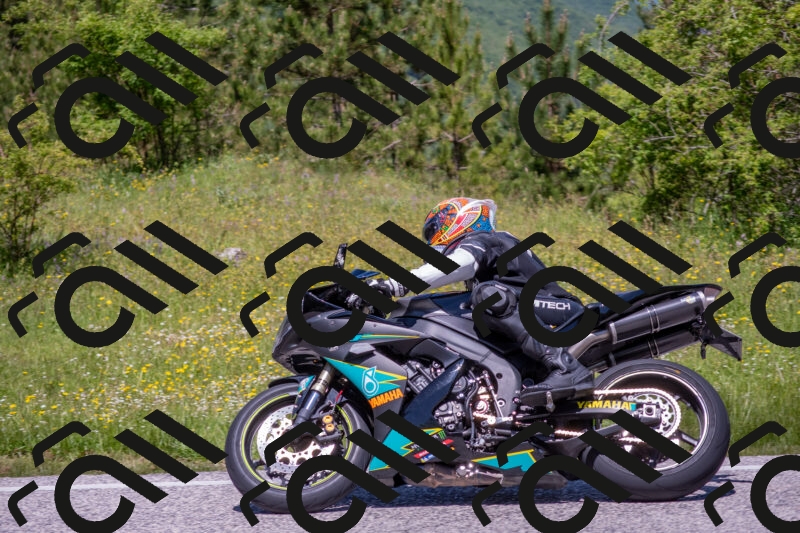 202506021213-DSC_8687_c4_