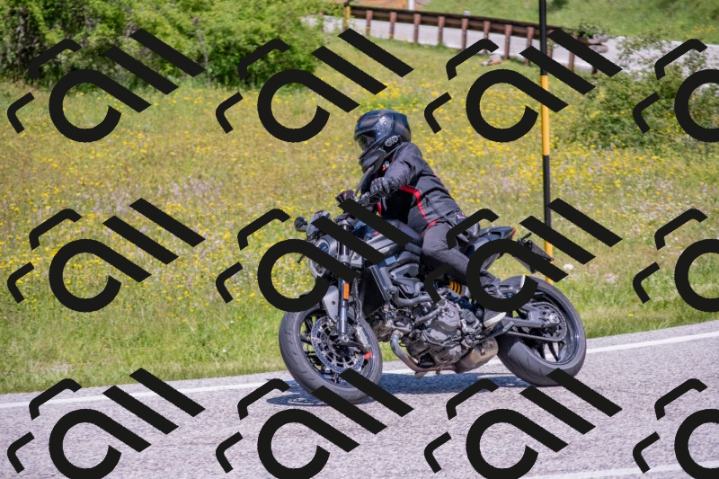 202506021213-DSC_8688_c4_