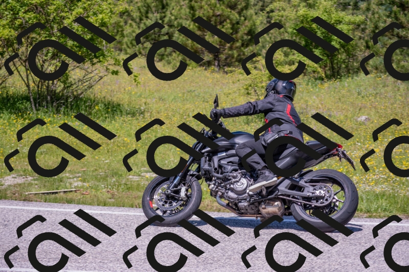 202506021213-DSC_8690_c4_