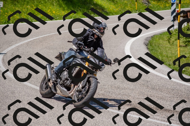 202506021213-DSC_8691_c4_