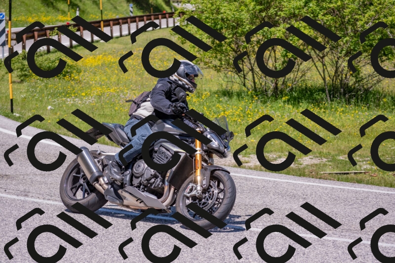 202506021213-DSC_8692_c4_