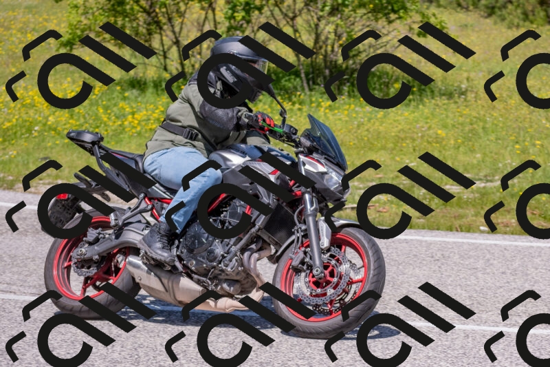 202506021213-DSC_8694_c4_