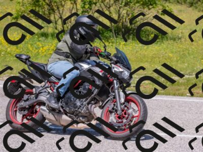 202506021213-DSC_8694_c4_