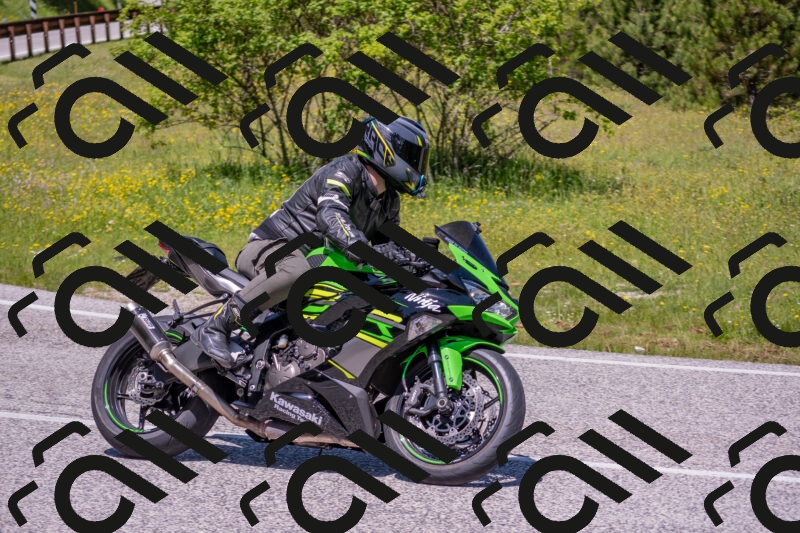 202506021213-DSC_8696_c4_