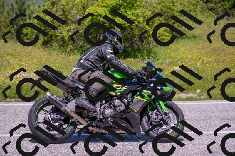 202506021213-DSC_8697_c4_