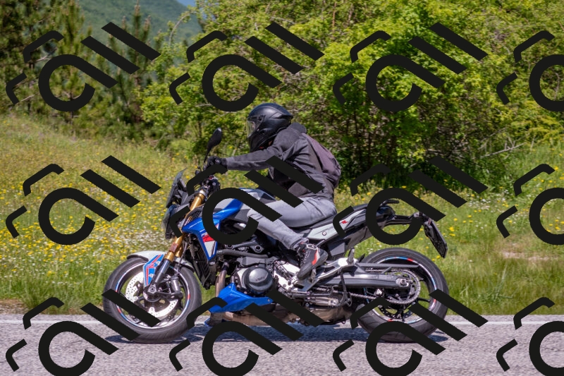 202506021213-DSC_8700_c4_