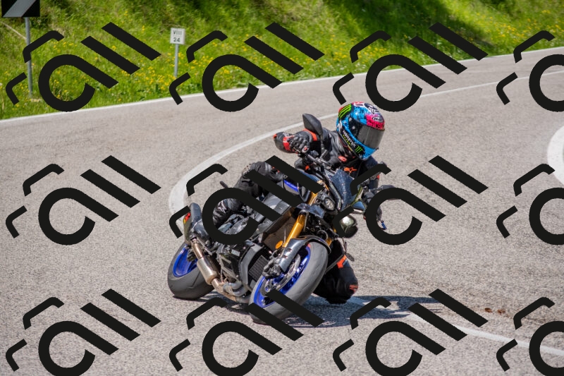 202506021213-DSC_8701_c4_