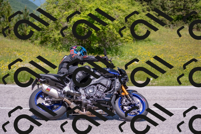 202506021214-DSC_8703_c4_