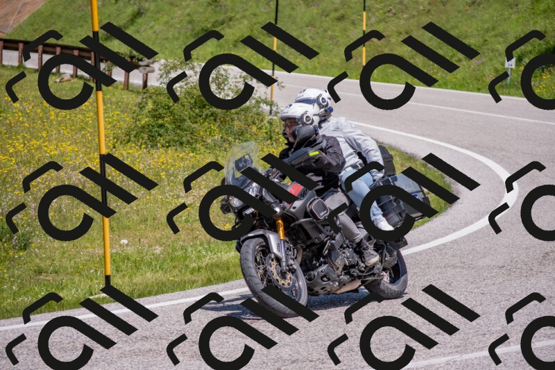 202506021214-DSC_8704_c4_