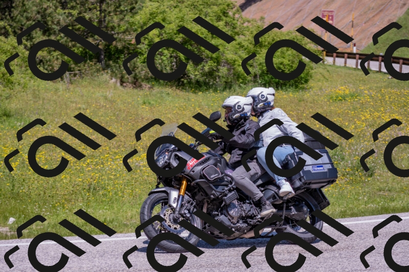 202506021214-DSC_8705_c4_