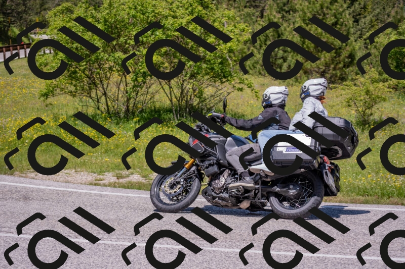 202506021214-DSC_8707_c4_