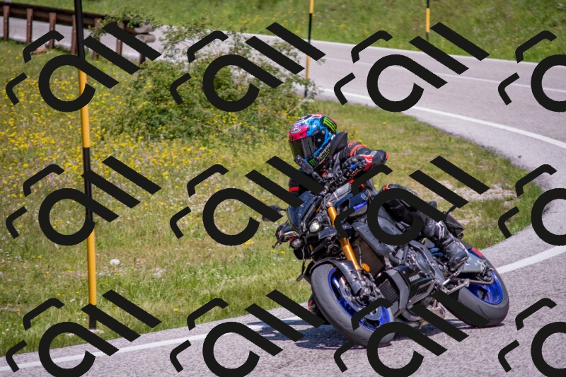 202506021214-DSC_8708_c4_