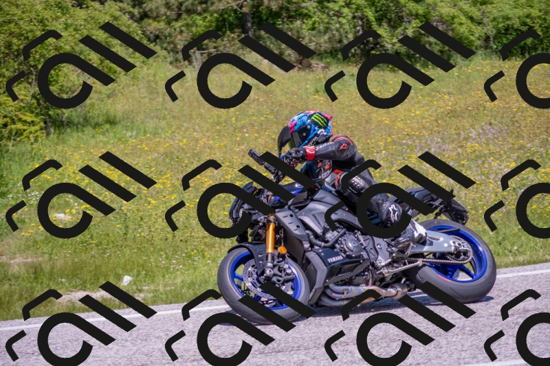 202506021214-DSC_8709_c4_