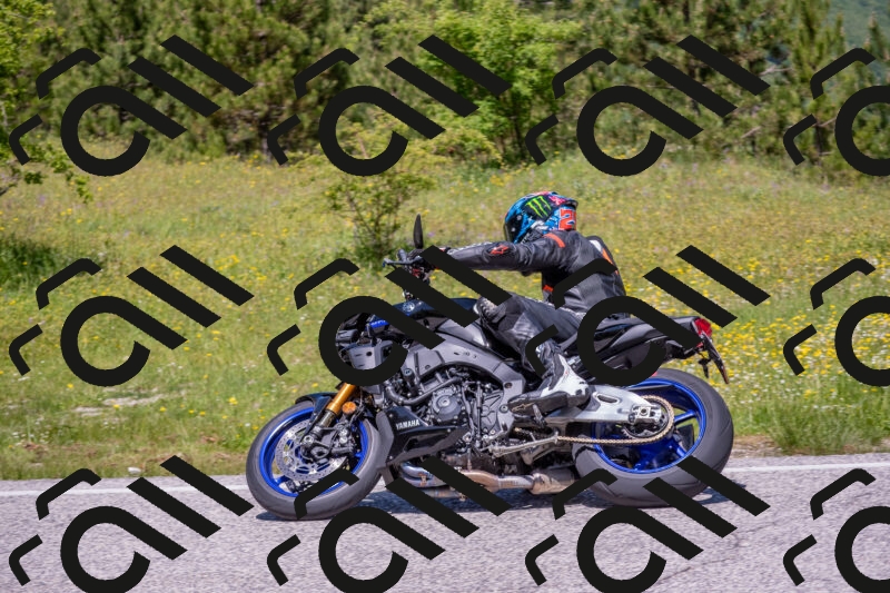 202506021214-DSC_8710_c4_