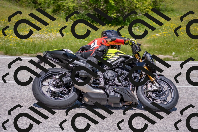 202506021214-DSC_8715_c4_