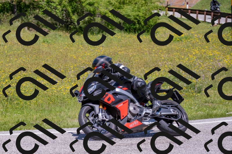 202506021214-DSC_8718_c4_