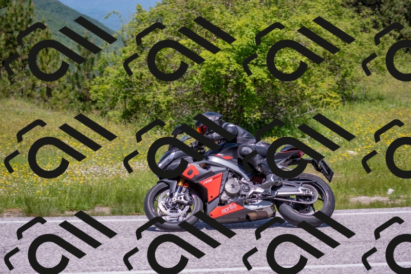 202506021214-DSC_8719_c4_