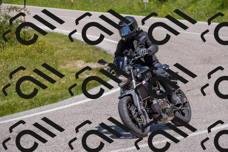 202506021215-DSC_8720_c4_