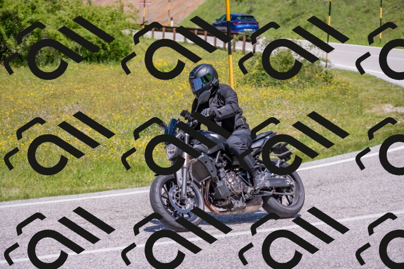 202506021215-DSC_8721_c4_