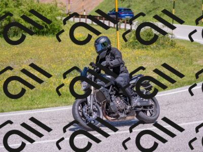 202506021215-DSC_8721_c4_