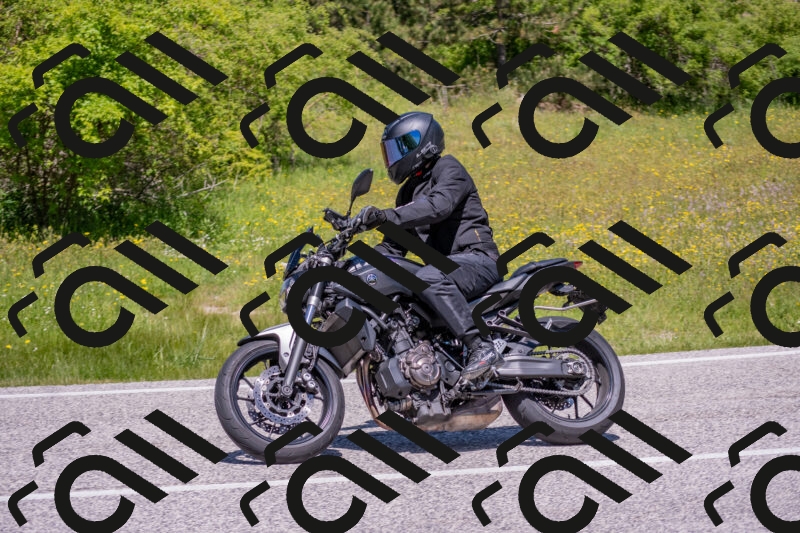 202506021215-DSC_8722_c4_