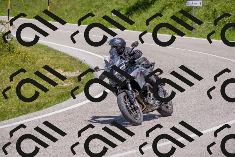 202506021215-DSC_8725_c4_