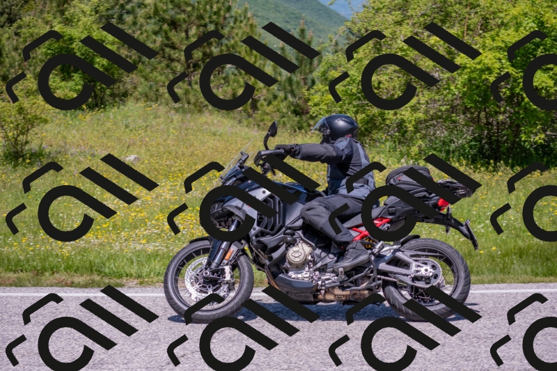 202506021215-DSC_8727_c4_