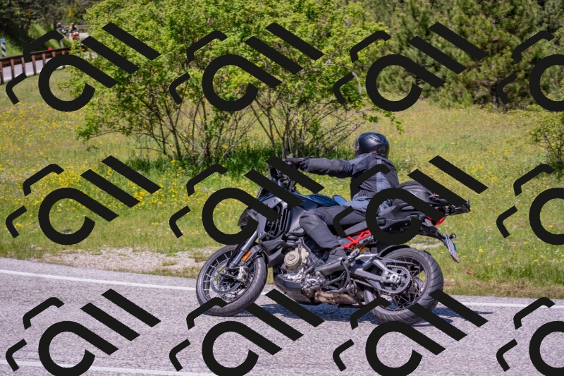 202506021215-DSC_8728_c4_