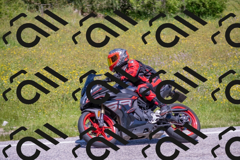 202506021215-DSC_8730_c4_